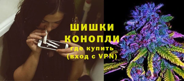 эйфоретик Няндома